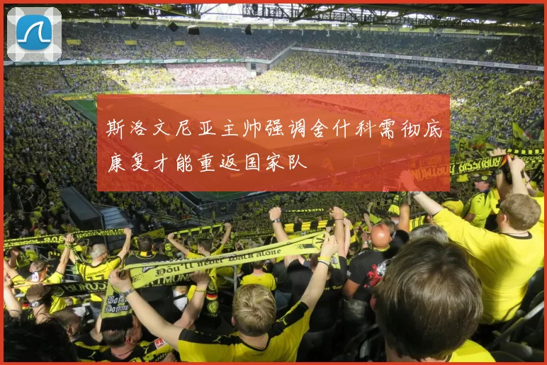斯洛文尼亚主帅强调舍什科需彻底康复才能重返国家队